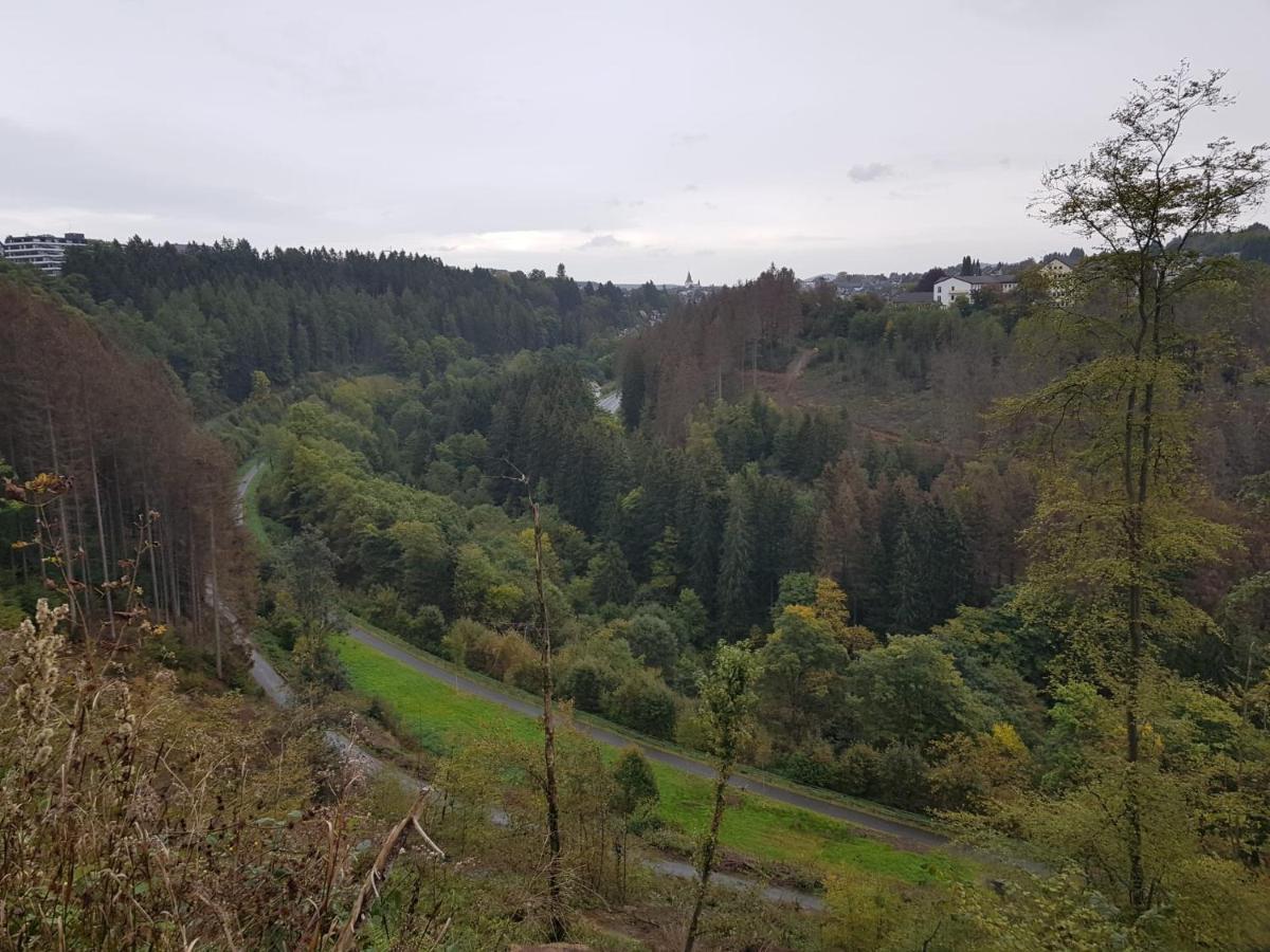 Altastenberger Lodge Winterberg Bagian luar foto